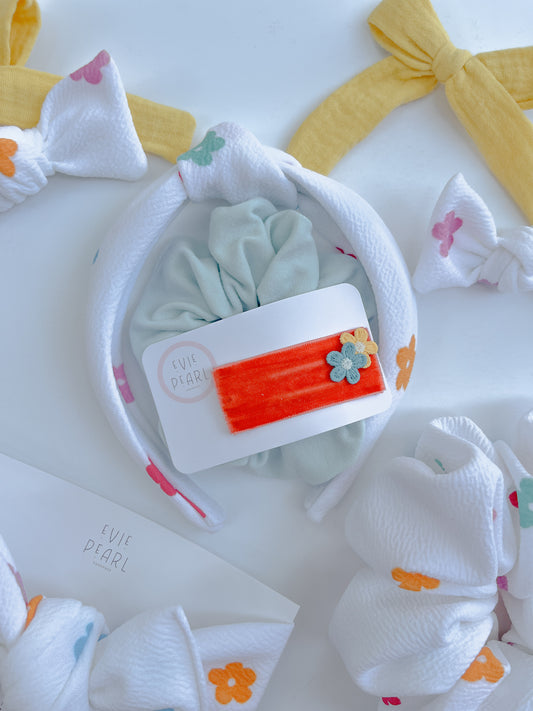 Monthly Accessory Subscription