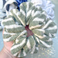 Oversized Fall Scrunchy