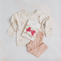 Newborn Baby Trio Headband Set- cream velvet, mauve velvet & pink ribbon