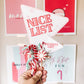Digital Download Naughty Nice Flag